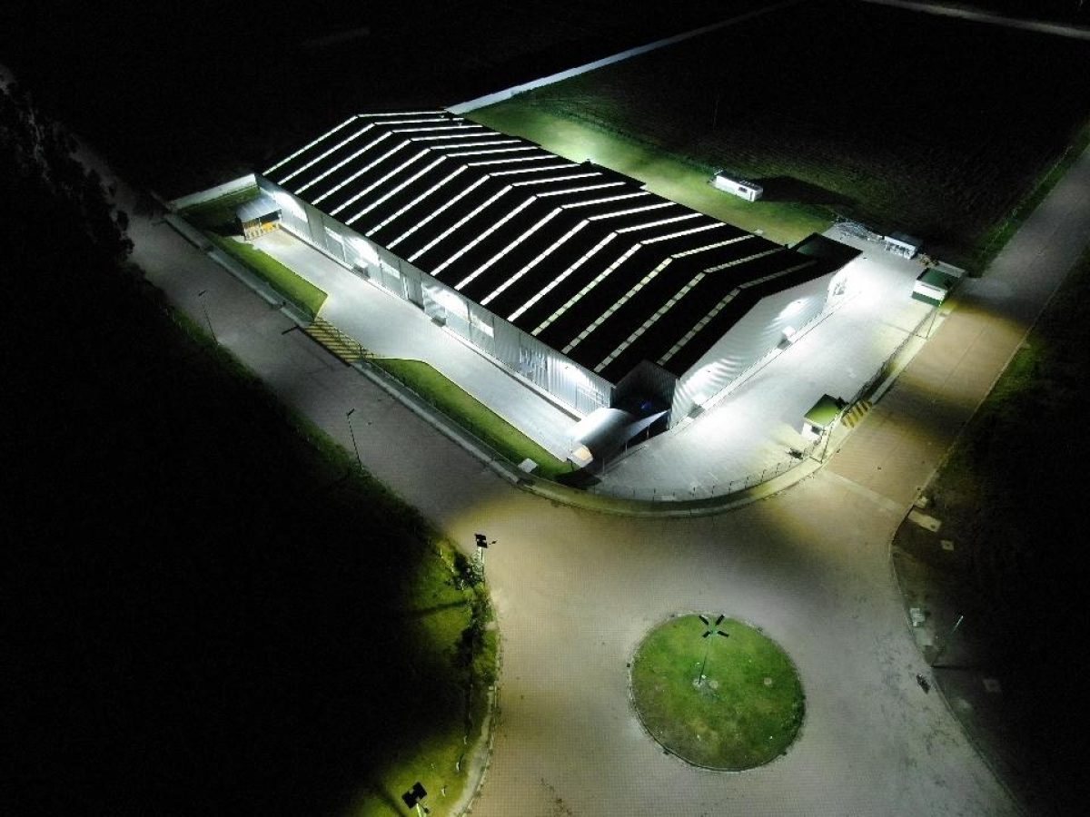 FLEXIPLAST ILUMINACIÓN NOCTURNA 1